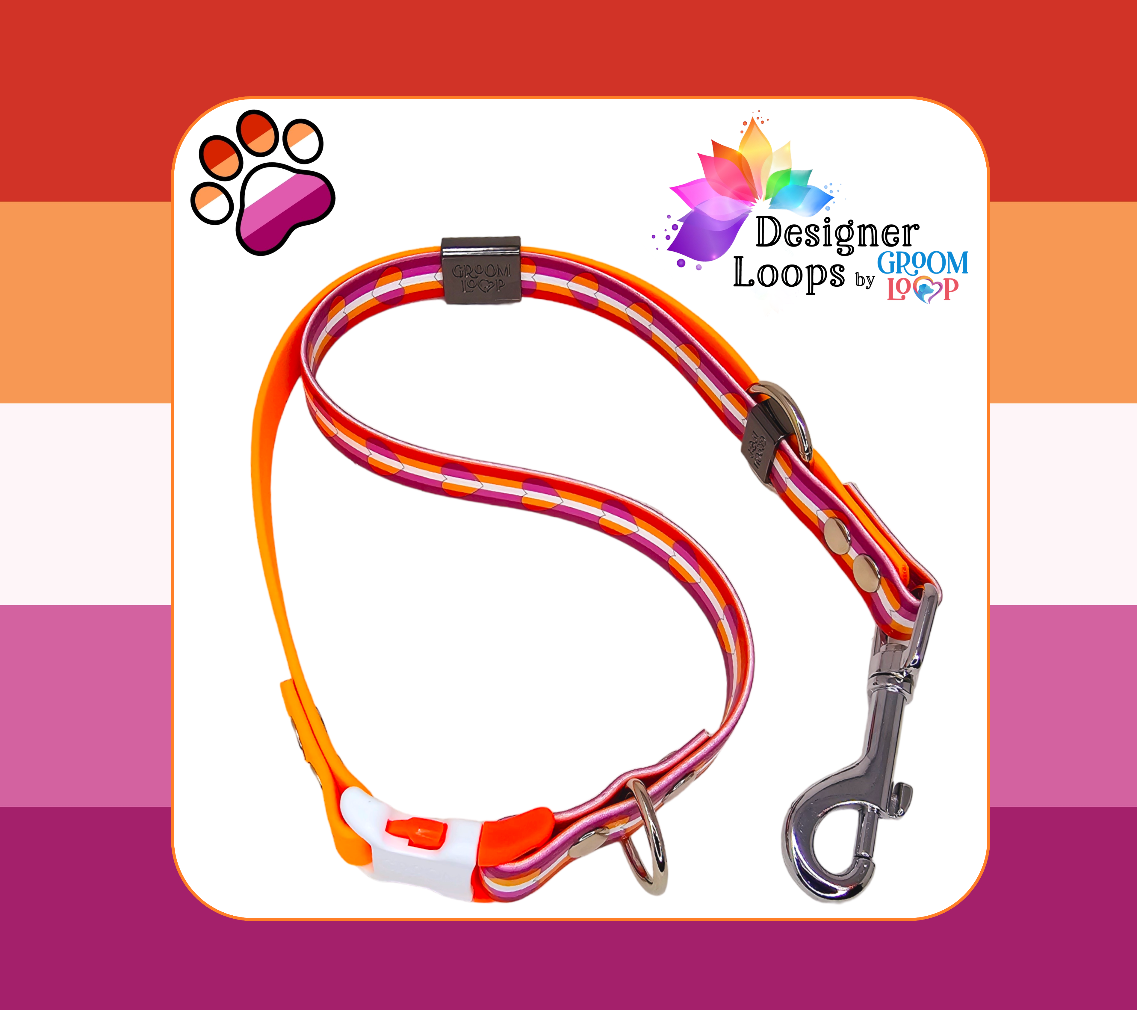 Lesbian Pride BioThane® Grooming Loop
